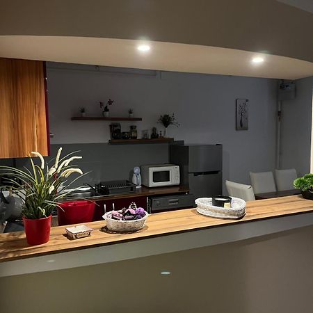 Apartment T&M Zagreb Airport Velika Gorica Extérieur photo